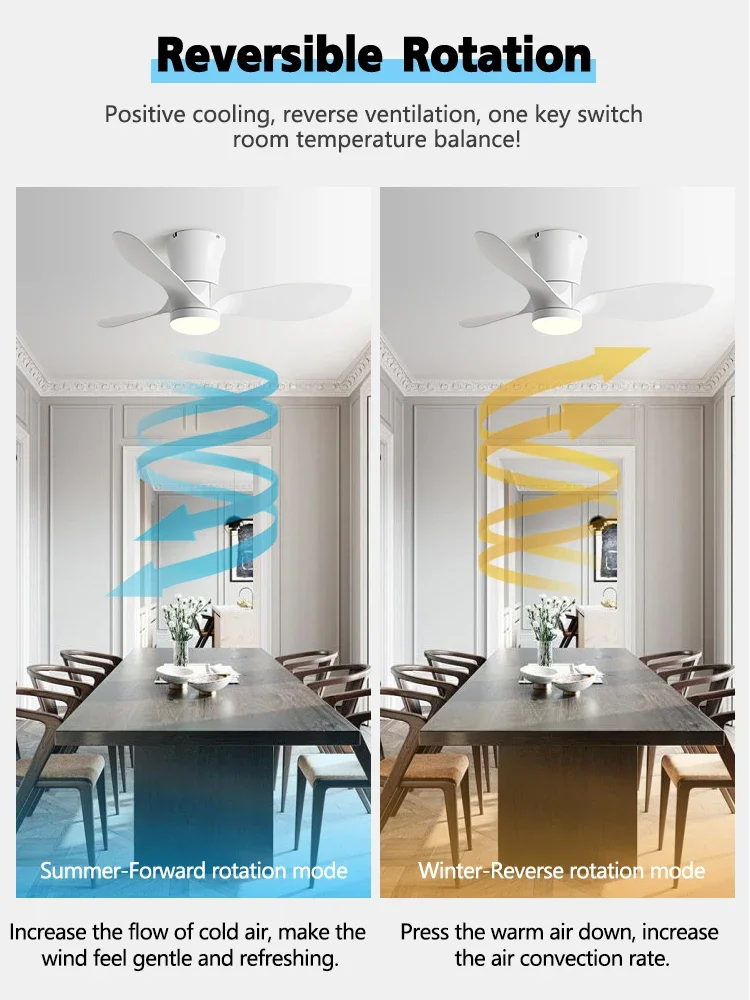 24CM Low Floor Loft Remote Control Lux&vitae Fan With Lights Modern Led Ceiling Fan Without Lights DC Motor 6 Speeds Timing Fans - Image 2