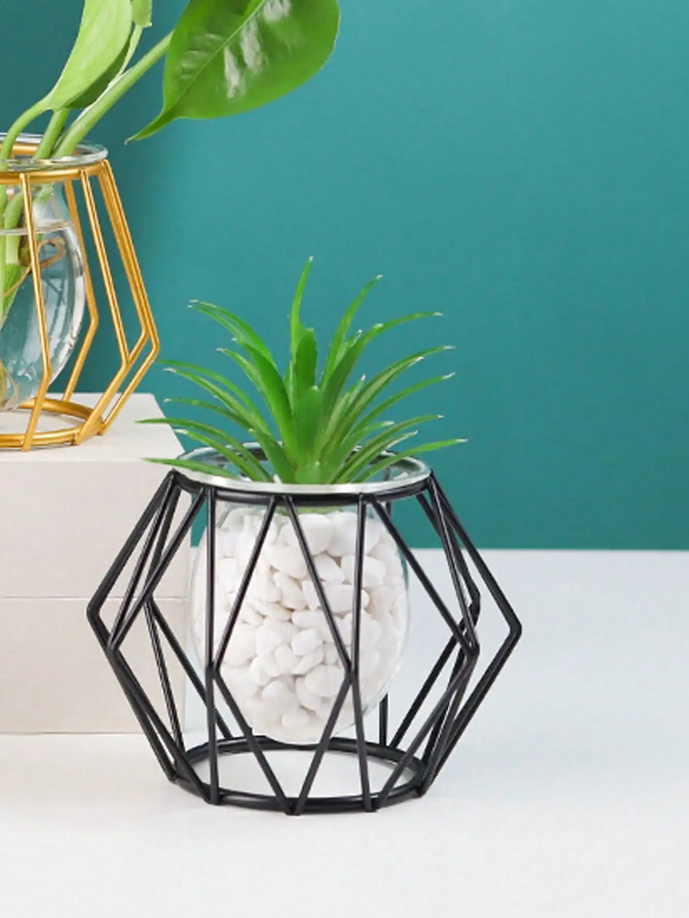 arrangement de fleurs transparent pour décoration intérieure avec plantes d'eau - Image 3