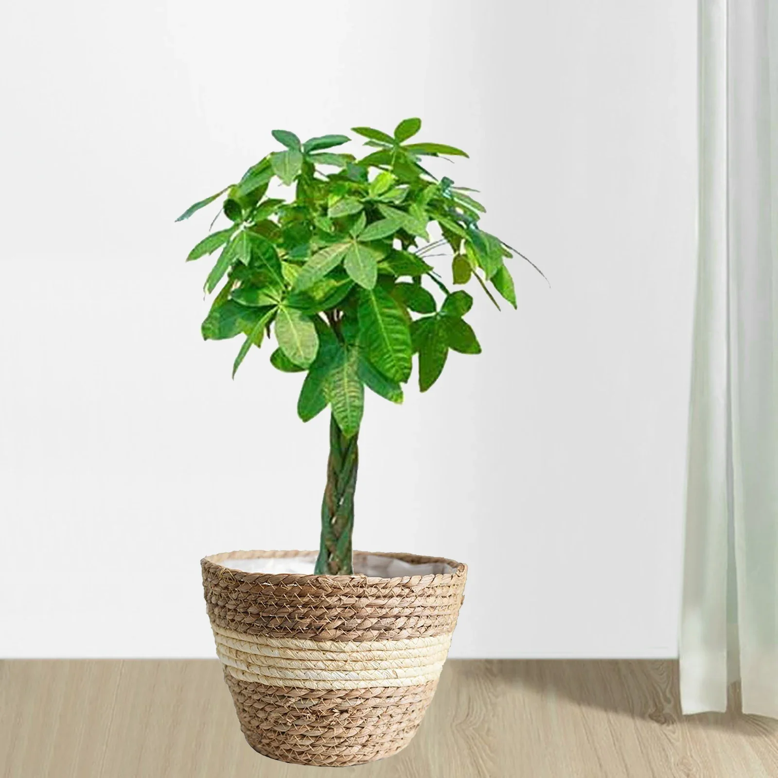doublures en rotin pour paniers à plantes et décoration jardin - Image 4