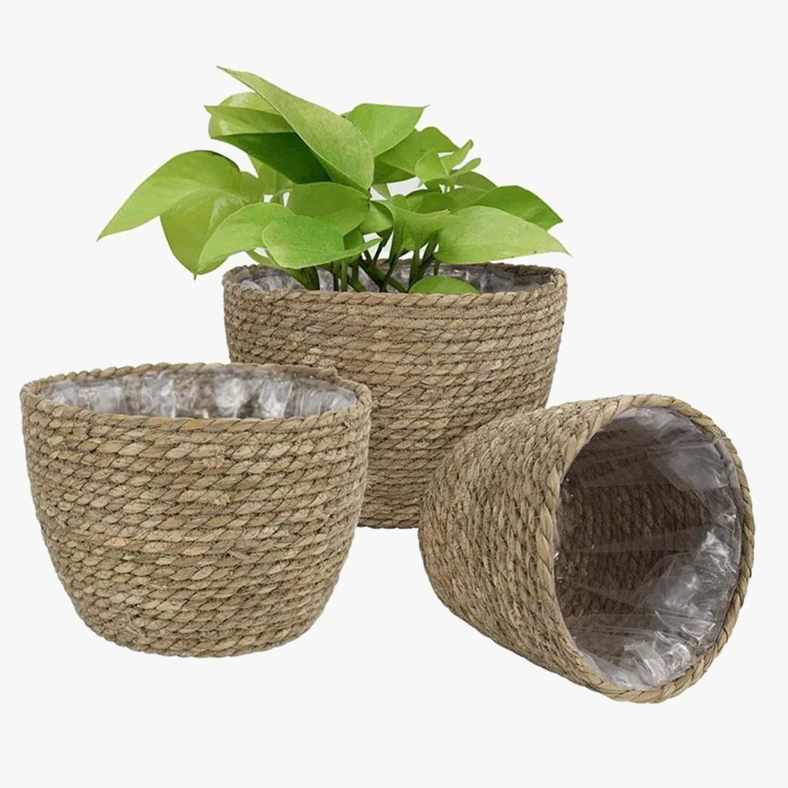 doublures en rotin pour paniers à plantes et décoration jardin - Image 5
