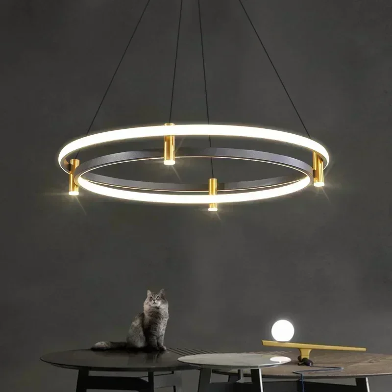 lustre moderne en anneau avec éclairage led décoratif - Image 2