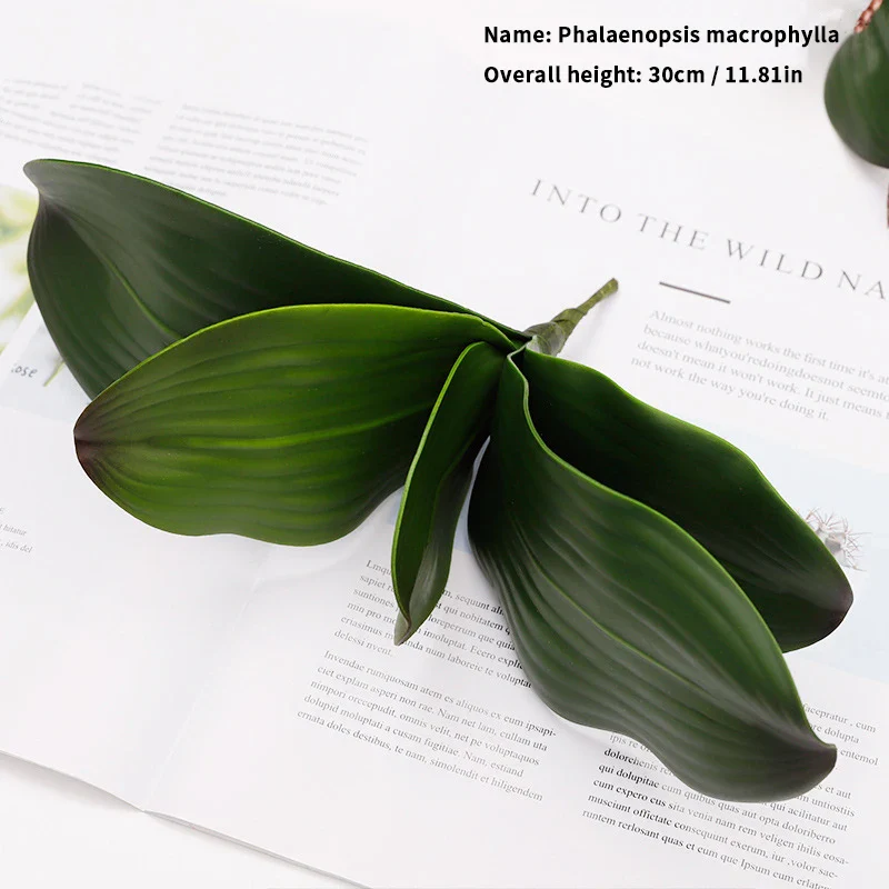 orchidée phalaenopsis préservée fleurs artificielles pour décoration mariage - Image 15