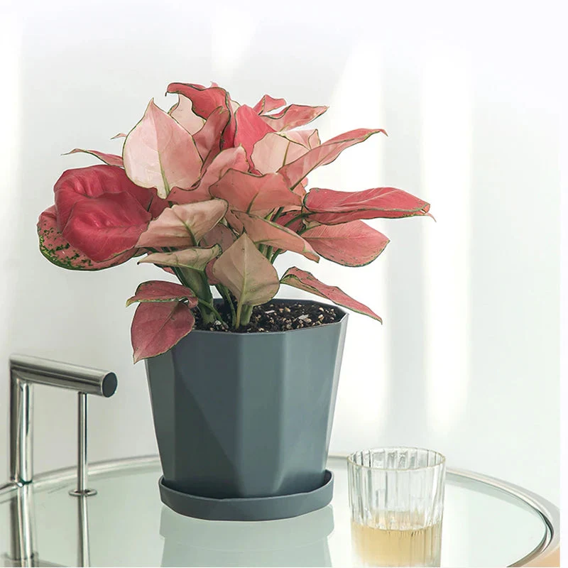pot de fleurs en résine nordique pour plantes succulentes - Image 5