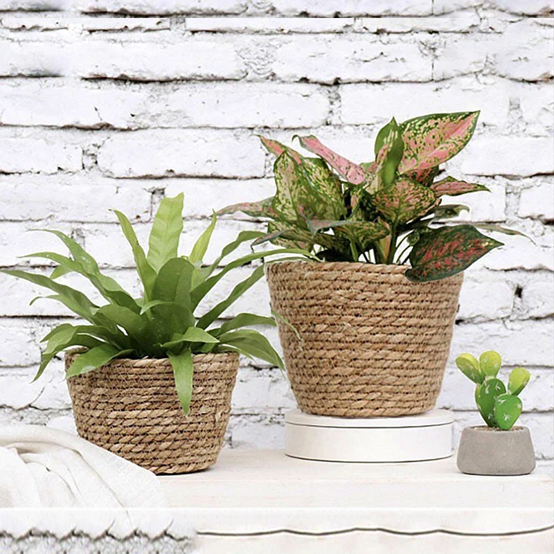 pot de fleurs tissé en seagras fait main pour plantes décoratives - Image 2