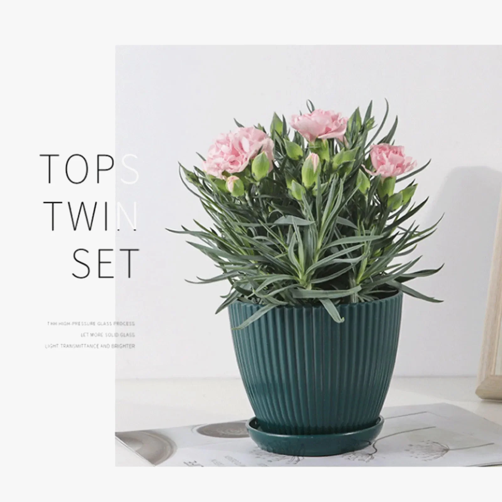 pots de fleurs en résine pour toutes vos plantes d'intérieur - Image 2