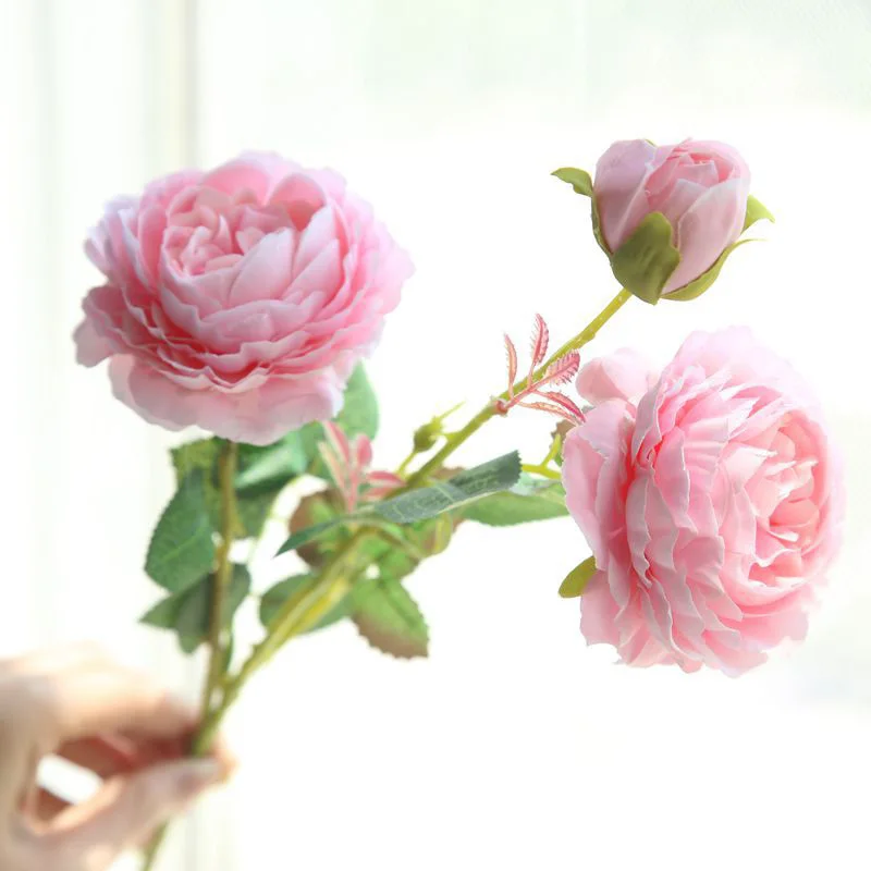 Miniature 1